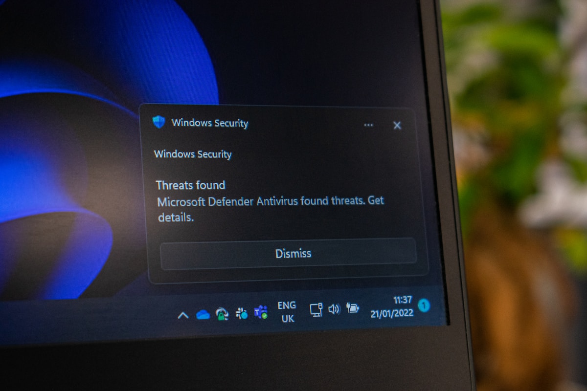 Windows 11 desktop running without activation showing the Activate Windows watermark and limited features